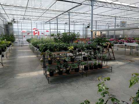Bosers Greenhouse